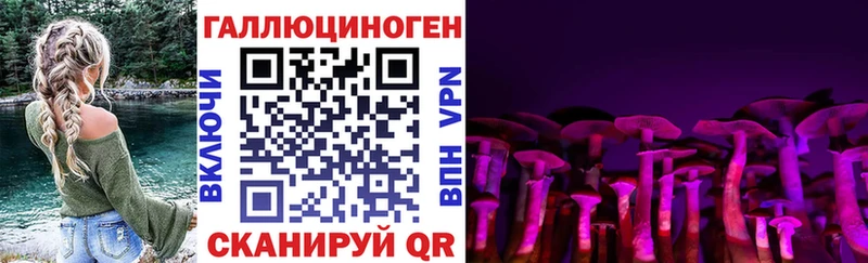 Псилоцибиновые грибы Cubensis  наркотики  Аксай 